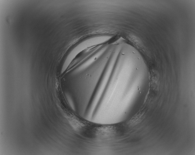X0000063440164200602031750