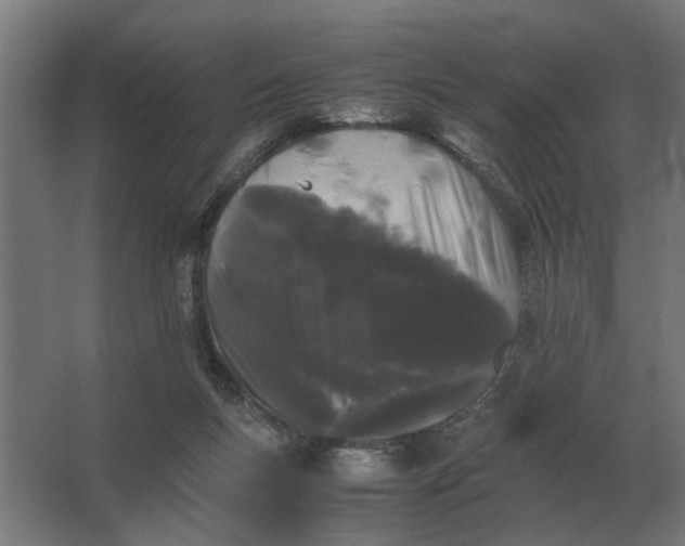X0000063440167200602031750