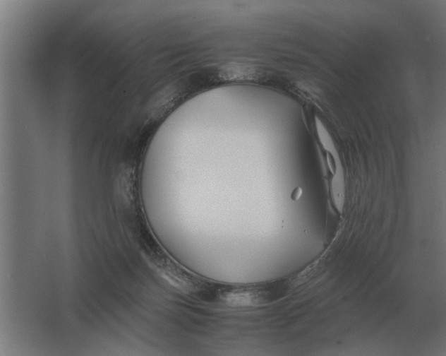 X0000063440171200602031750