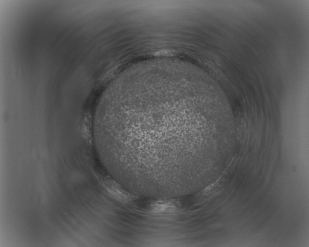 X0000063440175200602031751