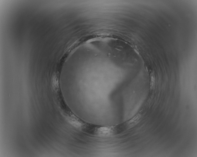 X0000063440176200602031751