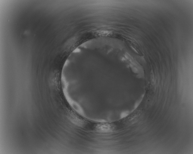 X0000063440181200602031751
