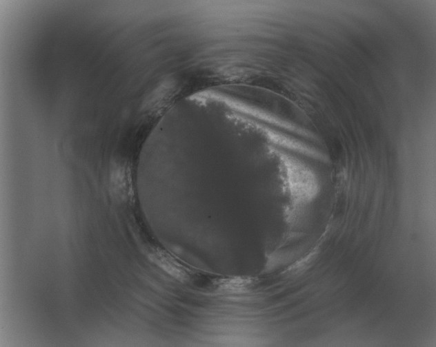 X0000063440182200602031751