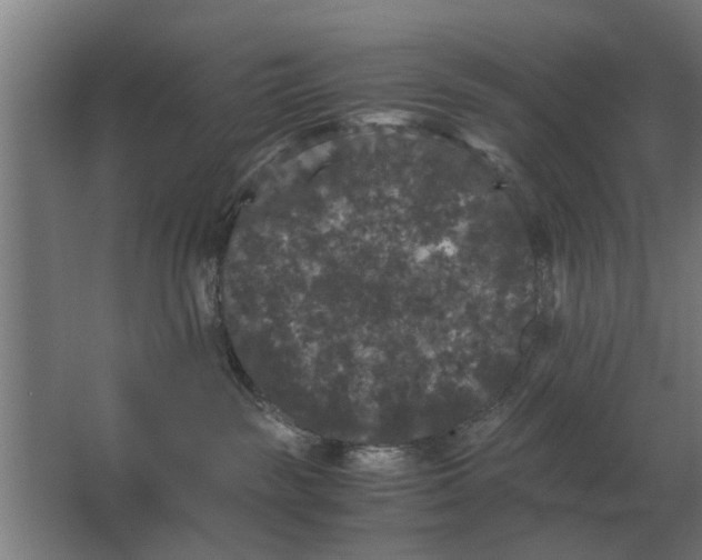 X0000063440189200602031751