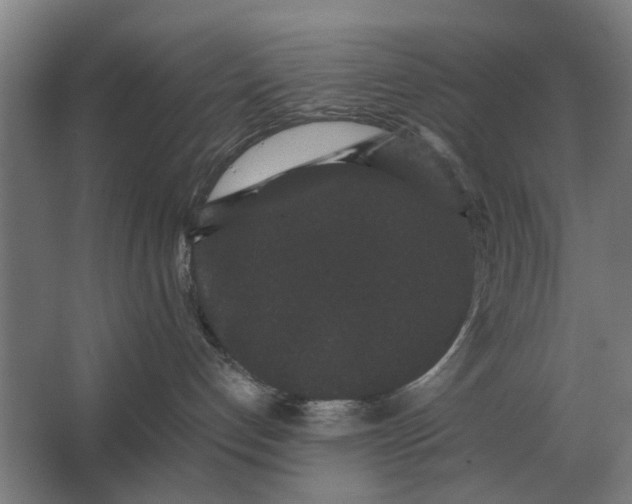 X0000063440192200602031751