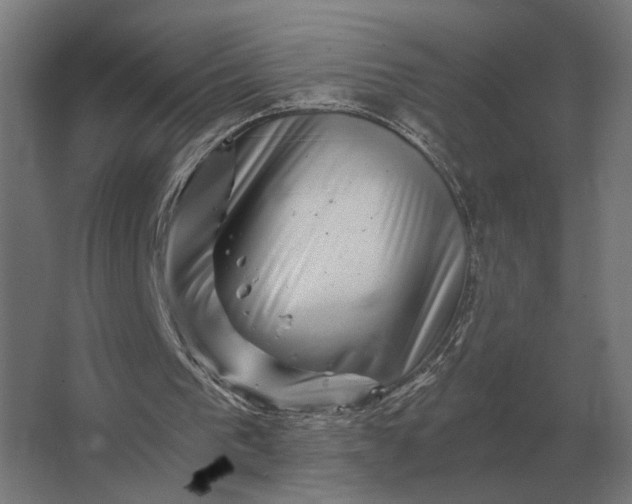 X0000063440193200602031750