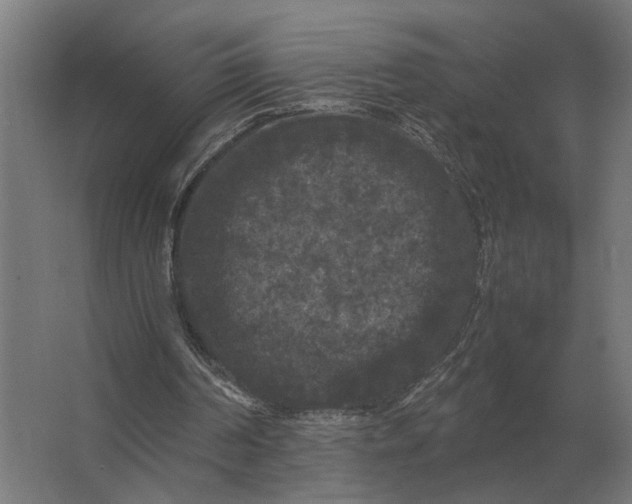 X0000063440194200602031750