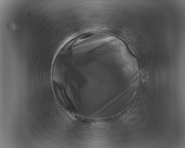X0000063440196200602031750