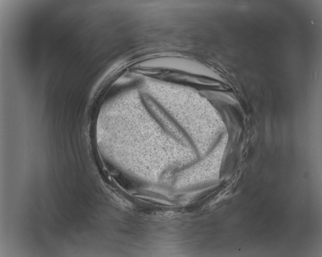 X0000063440197200602031750