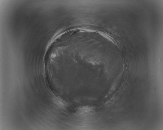 X0000063440198200602031750