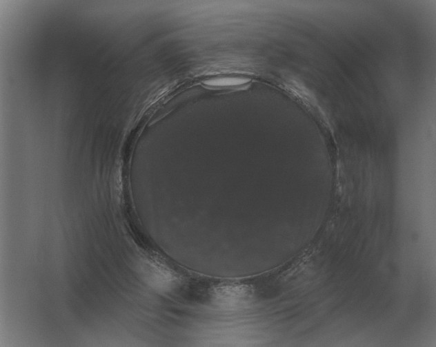 X0000063440202200602031750