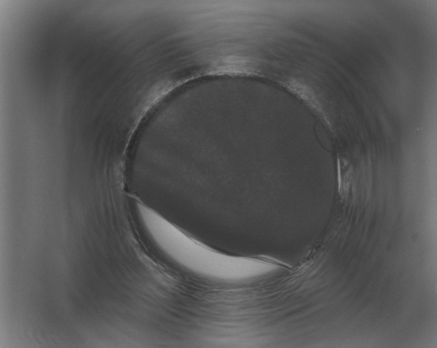X0000063440204200602031750