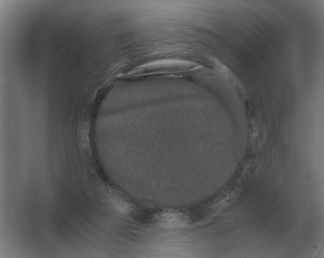 X0000063440209200602031750