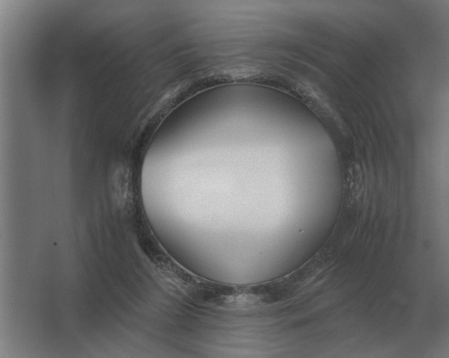 X0000063440212200602031750