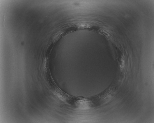 X0000063440219200602031750