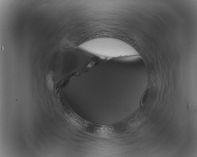 X0000063440223200602031750