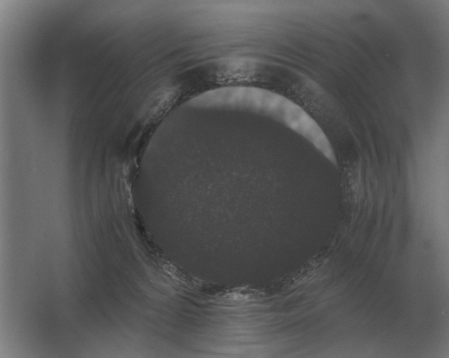 X0000063440224200602031750