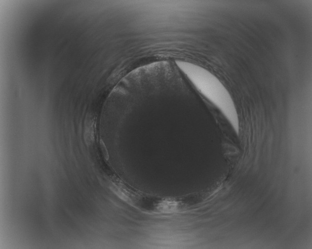X0000063440227200602031749