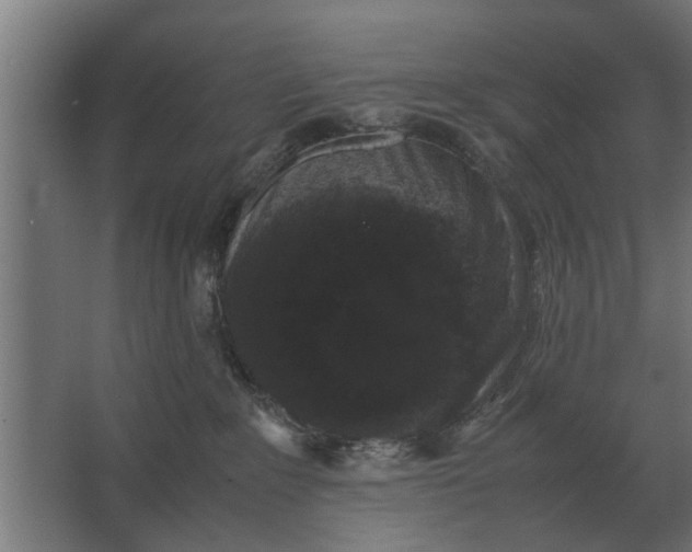 X0000063440235200602031749