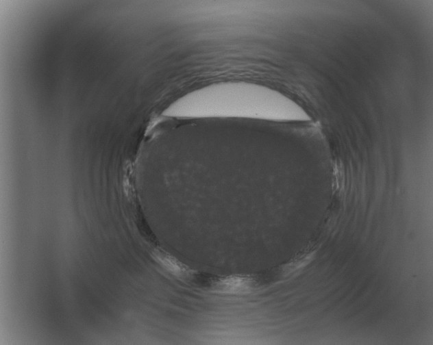 X0000063440237200602031749