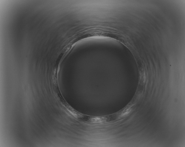 X0000063440239200602031749