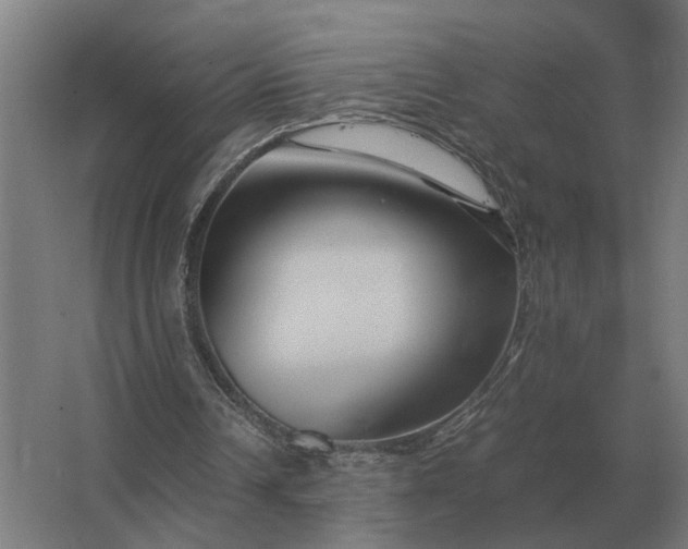 X0000063440242200602031748