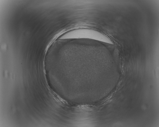 X0000063440244200602031748