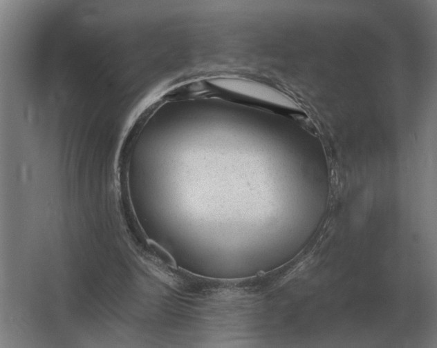 X0000063440246200602031748