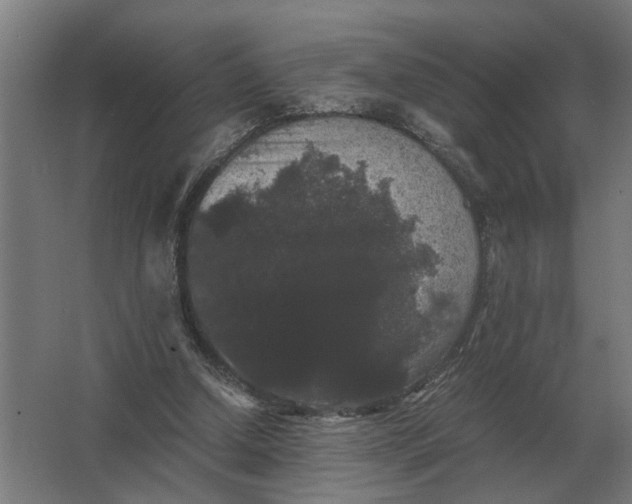 X0000063440250200602031749