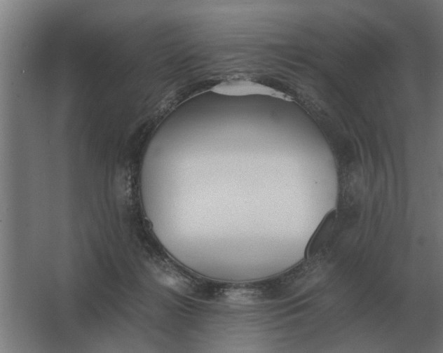 X0000063440268200602031749