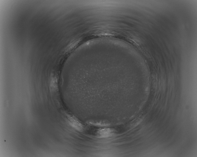 X0000063440269200602031749