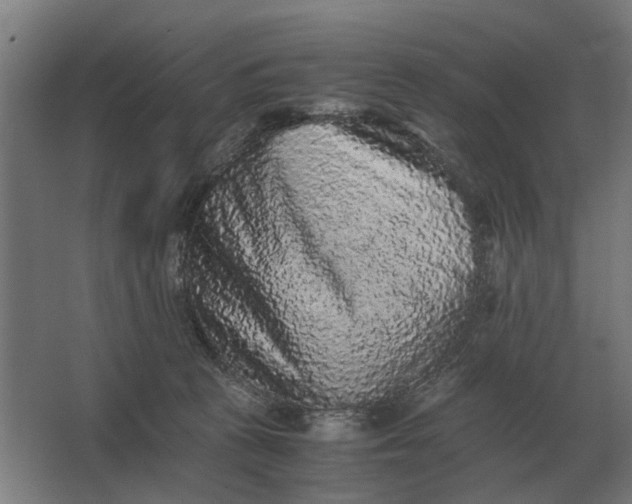X0000063440273200602031749