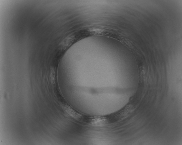 X0000063440274200602031749
