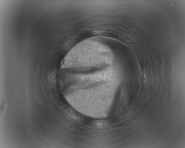 X0000063440275200602031749