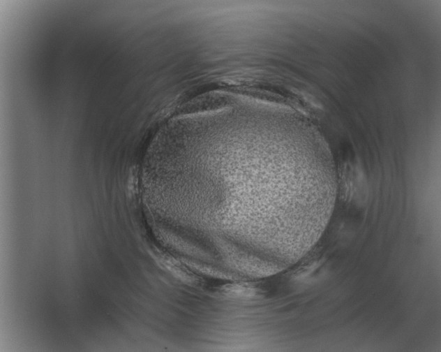 X0000063440284200602031749