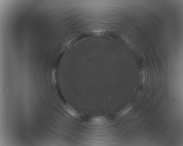 X0000063440286200602031749