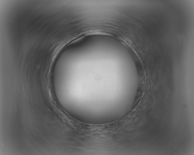 X0000063440289200602031748