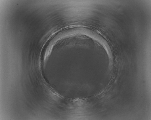 X0000063440290200602031748