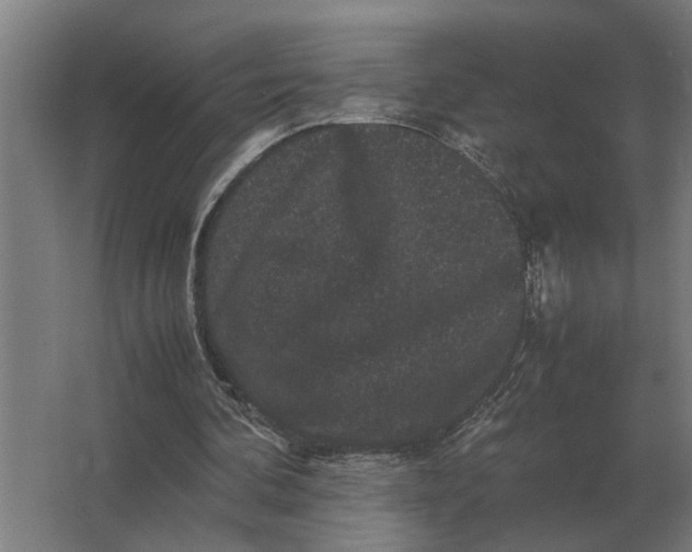 X0000063440292200602031748
