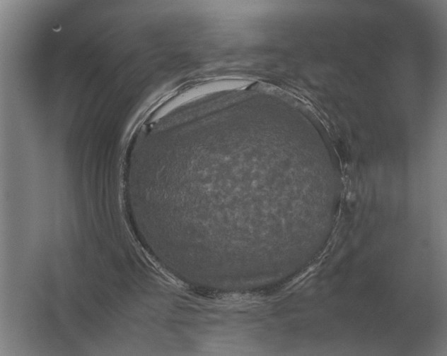 X0000063440293200602031748