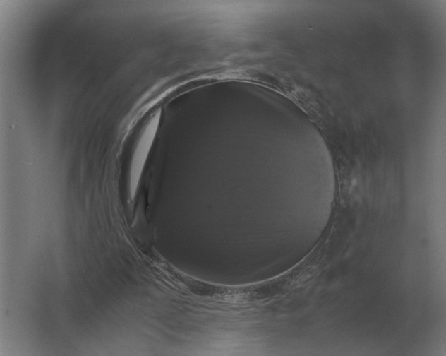 X0000063440295200602031748