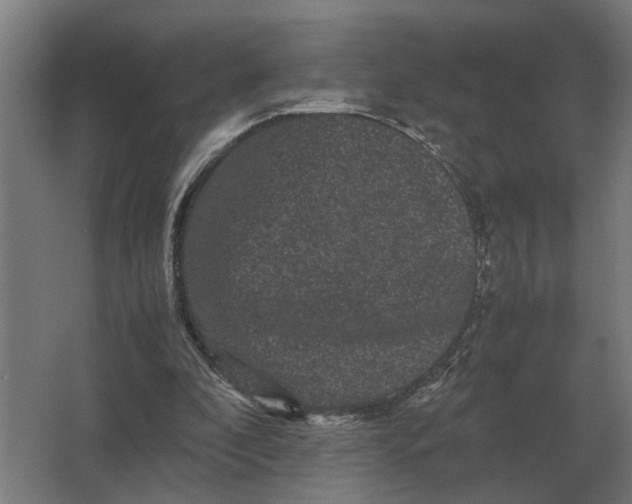 X0000063440296200602031748
