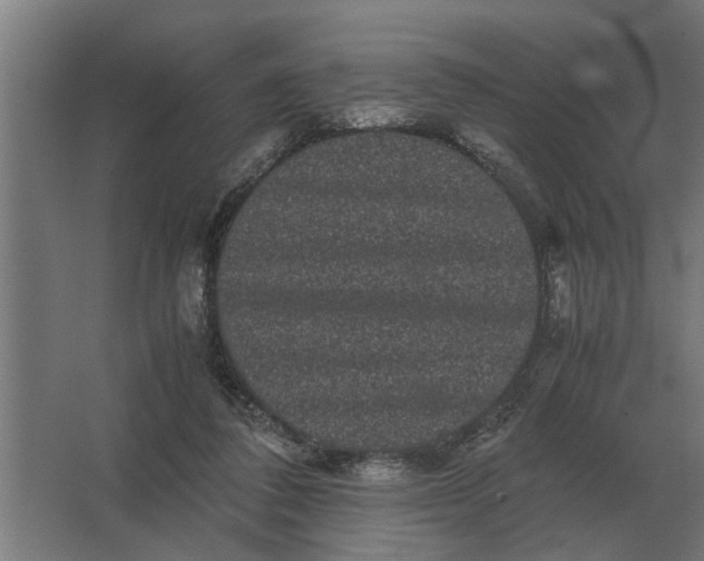 X0000063440308200602031748