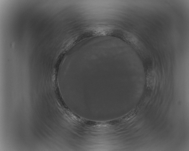 X0000063440314200602031748