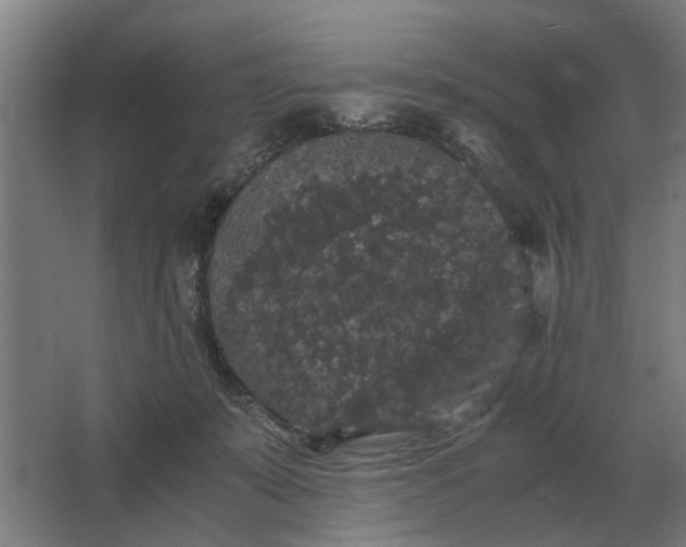 X0000063440319200602031748