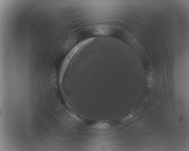 X0000063440322200602031748