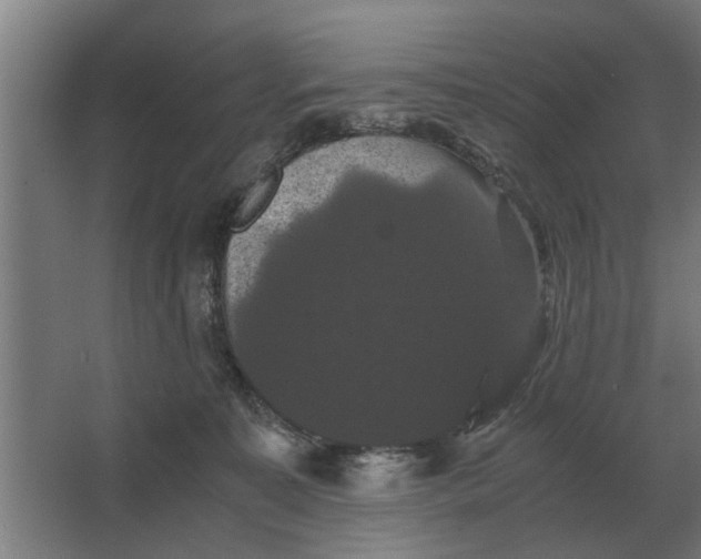 X0000063440323200602031748