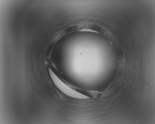 X0000063440333200602031748