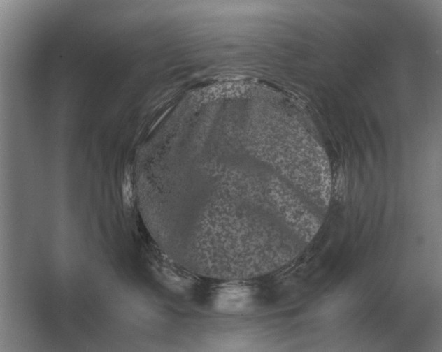 X0000063440335200602031748