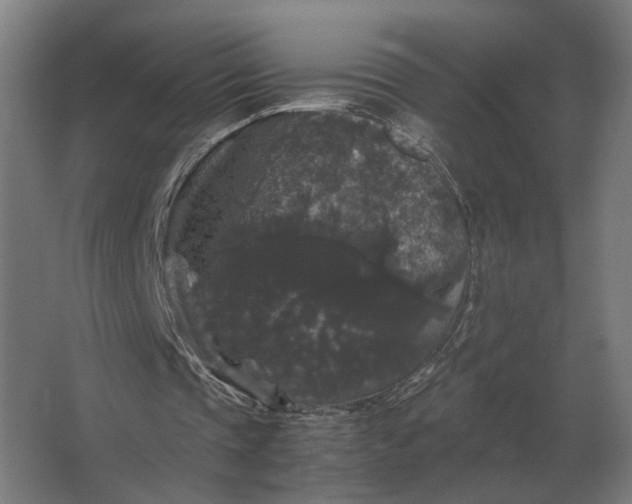 X0000063440337200602031747